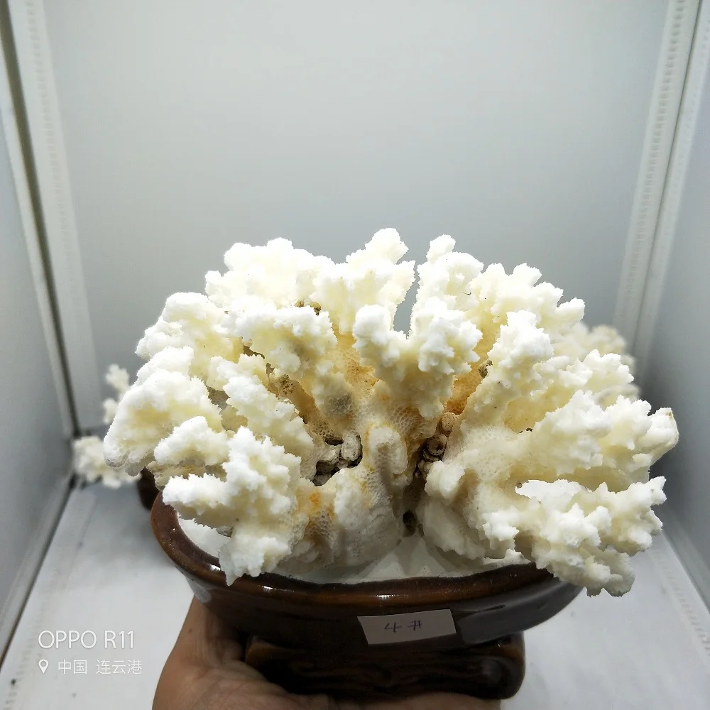 IMG20190923144806