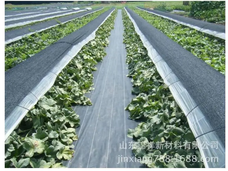 [Manufacturers Direct Selling] O.5m-6 M Wide Garden Weeding Cloth Black And White with Pattern Gardening Cloth Weed Barrier Clot