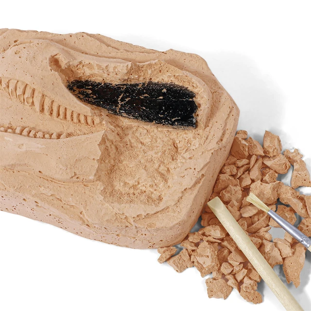 Dinosaur Claw & Tooth Fossils Dinosaur Teeth Fossils Excavation Kit  Digging Dinosaur Archeology Kit For Kids Dino Dig Kit Toy 2