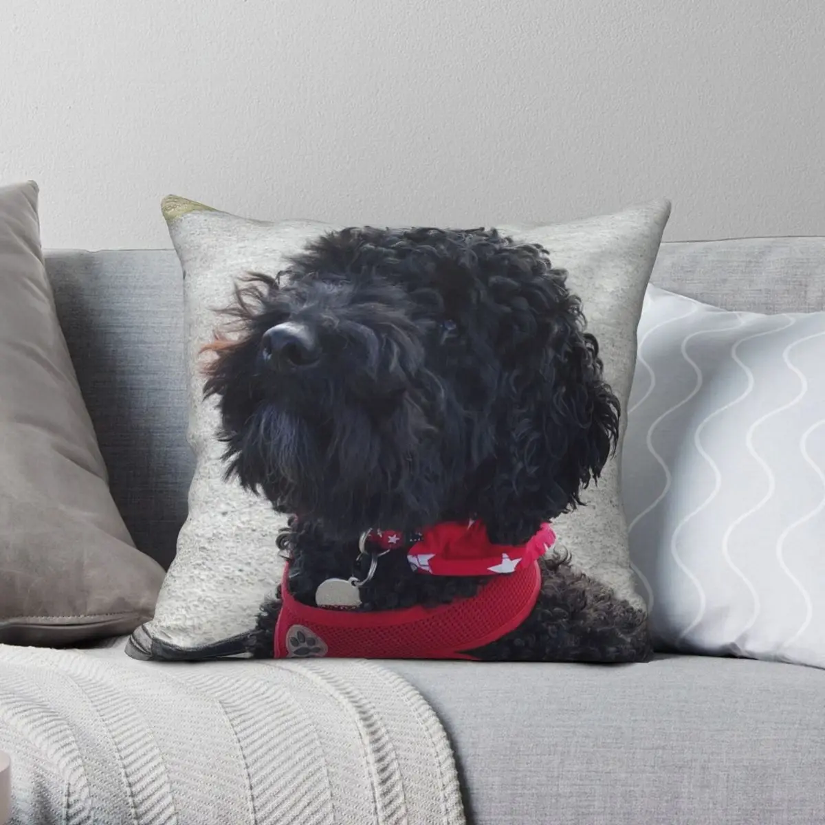 

Stanley The Little Black Cockapoo Square Pillowcase Polyester Linen Velvet Pattern Zip Pillow Case Car Cushion Cover 18