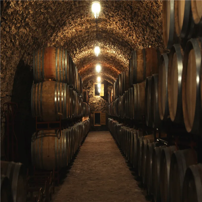 European and American Old Oak Barrels In An Ancient Wine Cellars Photo Wallpaper 3D Beer Bar Wine Winery Decor Wall Paper Murals