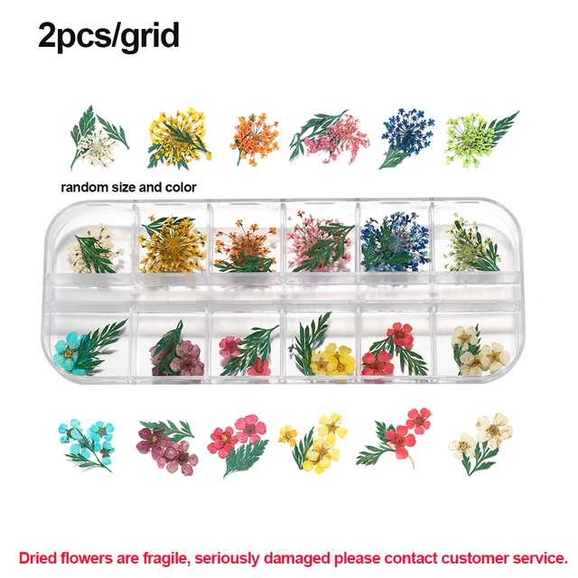 1Box Dried Flowers Dry Plants for Rsein Molds Fillings Epoxy Resin Pendant Tweezers Jewelry Making Craft DIY Nail Art Decoration Style15