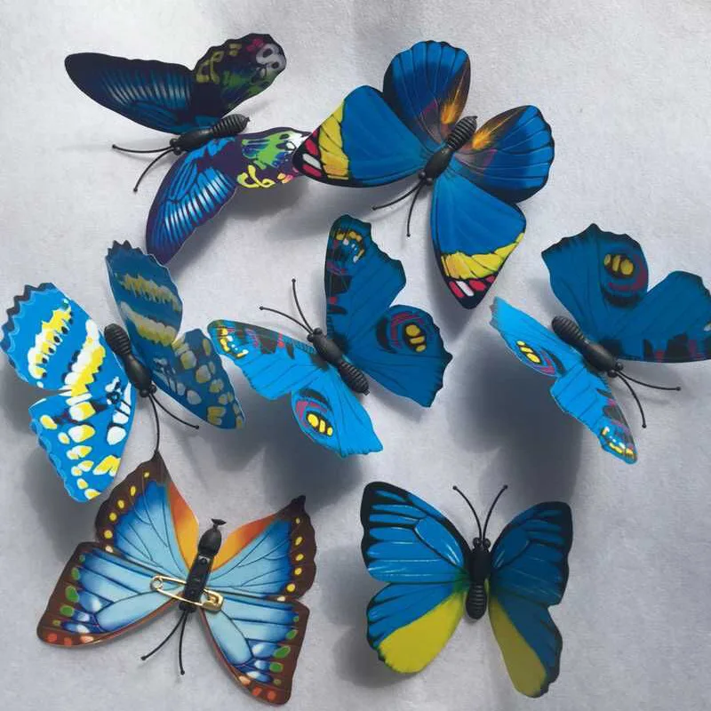 2724172004_2027780200