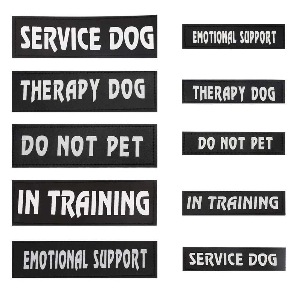 71NRIYdtLEL._SL1200_