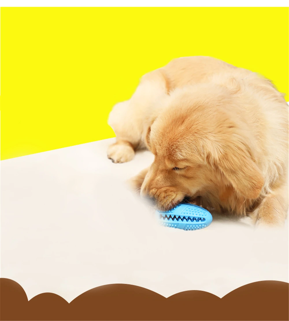 12113615478_1043690966