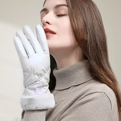 2021 New Mittens Women's Winter Windproof Plus Velvet Warm Cold Gloves Outdoor Touch Screen Cycling Driving Womens Winter Gloves