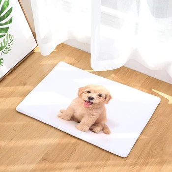 

Dog Print Flannel Entrance Doormat Home Decor Rectangle Absorbent Kitchen Carpet Rectangle Anti Slip Bathroom Rugs Hallway Mat