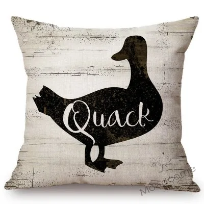 conew_n221 (3) 副本