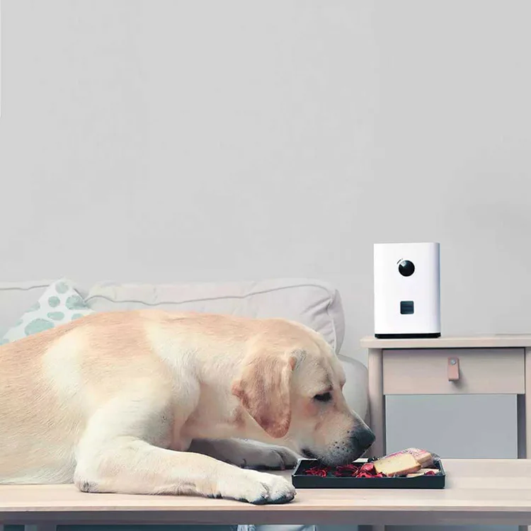Xiaomi mijia Pawbby HD 1080P wifi умный питомец многоцелевой снэк-машина с камерой Двусторонняя Интерком для собаки кошки