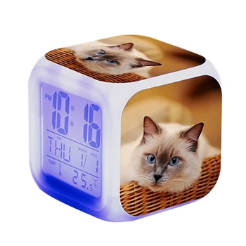 

Cute Animal Cat Squinting Surrounding Colorful Square Alarm Clock Small Alarm Clock