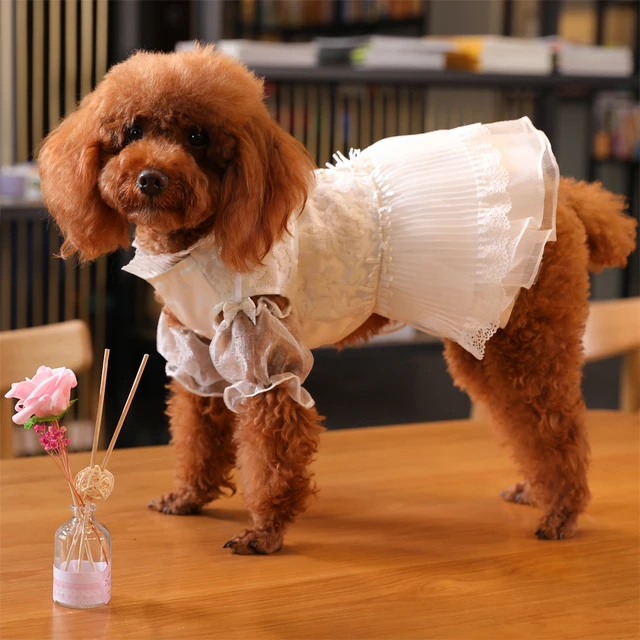 HOOPET Big Dog Clothes Medium-sized Large Dogs Autumn and Winter  Four-legged Cloth - AliExpress