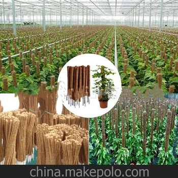

40/30cm Plant Climbing Coconut Tree Totem Stick Is Used For Creeper Plant Support Extension Climbing Indoor Garden Supplies