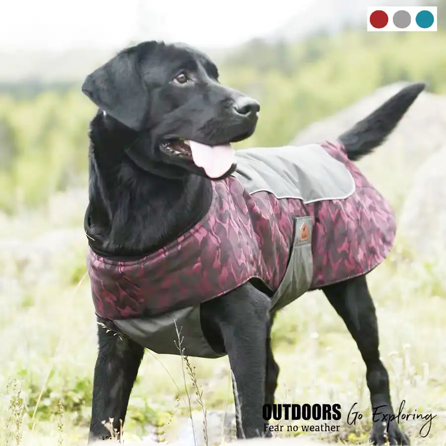 迷彩犬のジャケット冬の屋外ペットコート防水防風ジャングル狩猟キャンプ服小中大犬 Dog Coats Jackets Aliexpress 迷彩犬のジャケット冬の屋外ペットコート防水防風ジャングル狩猟キャンプ服小中大犬 Dog Coats Jackets Aliexpress