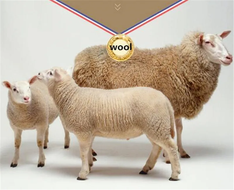 Новые ботинки из натуральной кожи со стразами и цветком; Ботинки martin; теплые зимние ботинки; нескользящая обувь на высоком каблуке; модные женские ботинки; большие размеры
