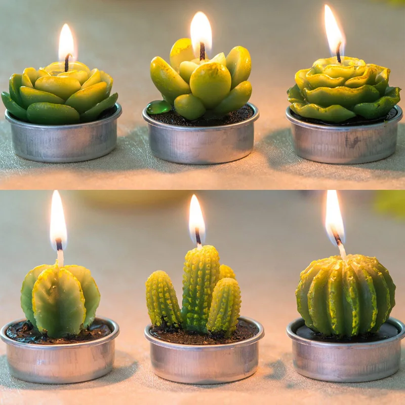12 шт. мини суккулентные растения плесень Кактус Свеча DIY гипсовая силиконовая свеча формы для домашней вечеринки на день рождения украшения