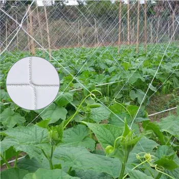 

Garden Plants Climbing Net Plastic & Nylon Net Morning Glory Flower Vine Netting Support Net Grow Net Holder Garden Netting #3