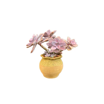 

Breathable sack series of cement flowerpots creative raw stone flowers fleshy flowerpots imitating tabletop potted plant