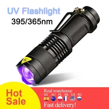 LED lampe de poche UV torche ultraviolette avec fonction Zoom Mini UV lumière noire détecteur de taches d'urine pour animaux de compagnie chasse au Scorpion