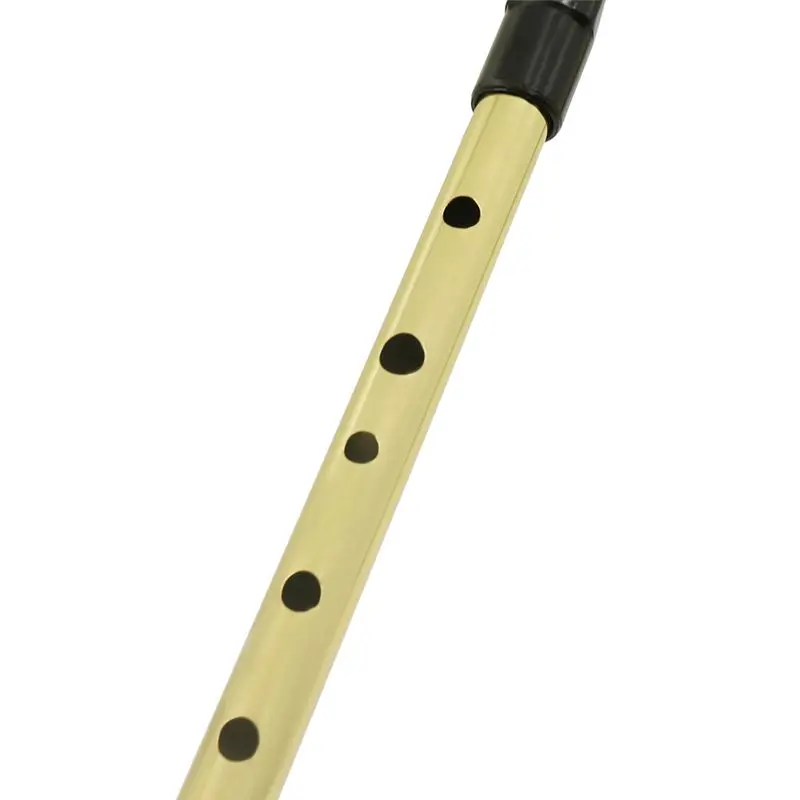 Топ!-Ирландский свисток Ирландия Флейта свисток оловянный свисток ключ D Пенни свисток 6 отверстий флейта шантер Мини карманный музыкальный инструмент