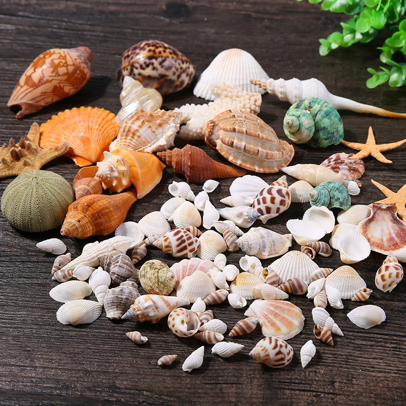 9180759555_373119200