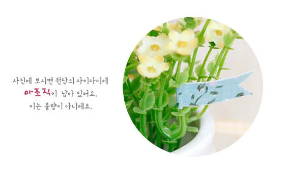 2905317095_960196007