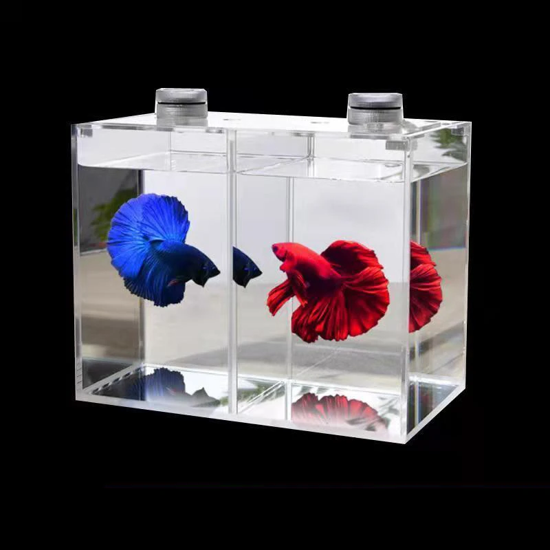 Small Aquarium For Betta Fish atelieryuwa.ciao.jp