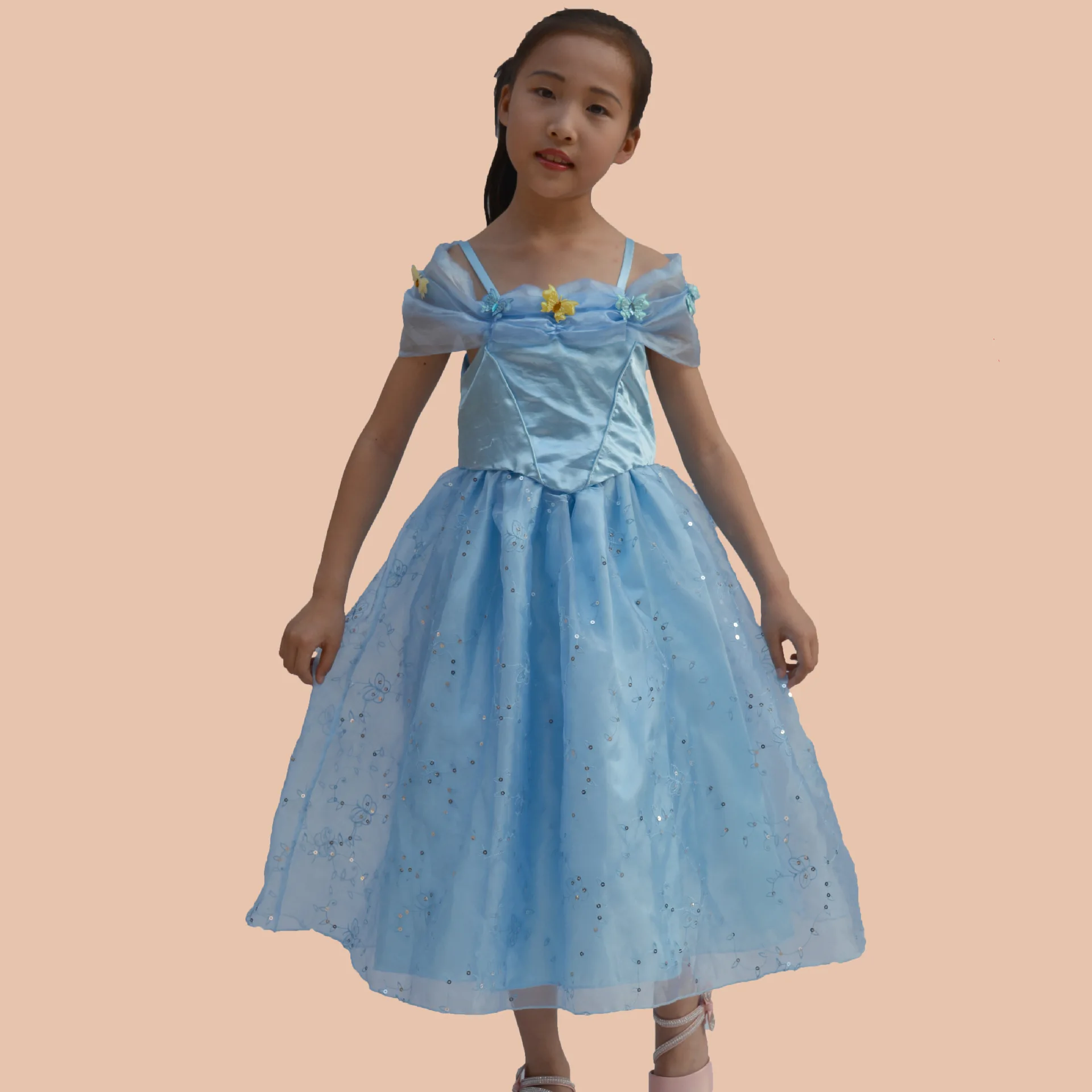 

Cinderella Embroidered Girls Princess-Style Dress