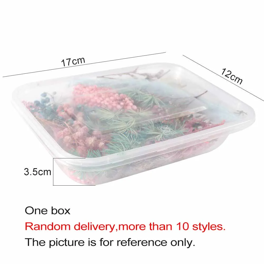 1 коробка микс красивые настоящие сушеные цветы натуральный цветочный для художественного ремесла Скрапбукинг Смола ювелирное ремесло изготовление эпоксидной формы наполнение - Цвет: Random 1box