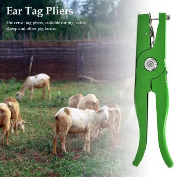 

Pig Ear Tag Pliers For Farms, Pigs, Cattle And Sheep, Ear Tag Pliers, Veterinary Ear Hole Pliers, Ear Pliers, Pig Ear Tag Pliers