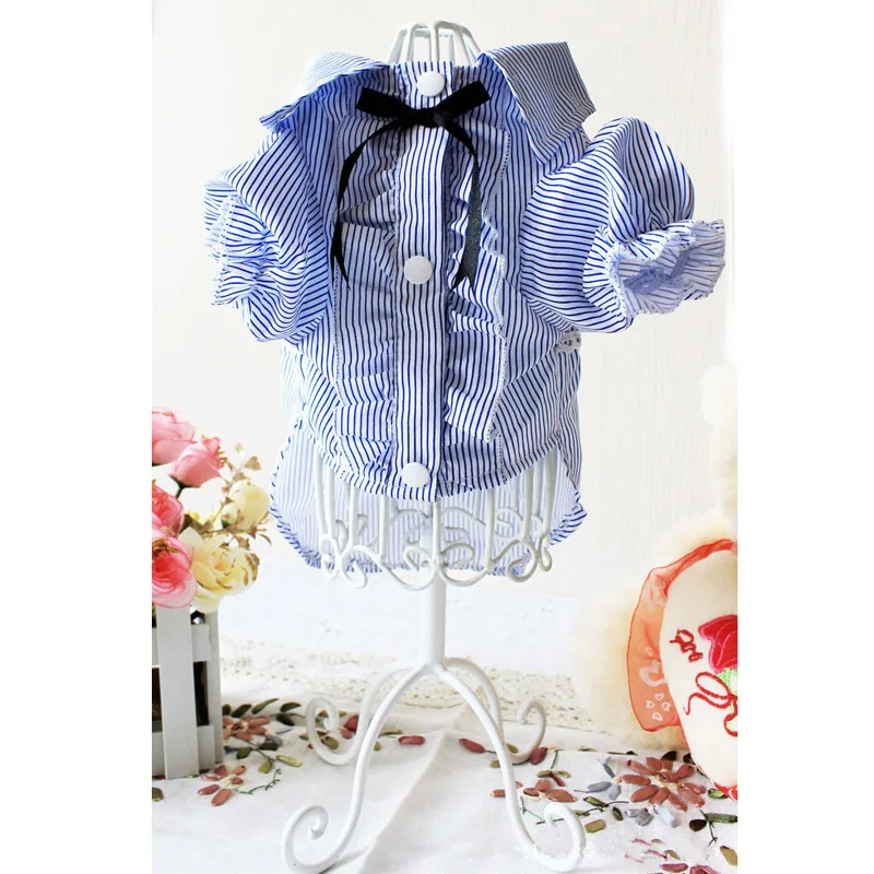 small dog clothes