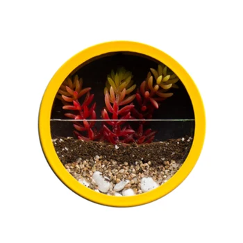 

LUDA 8Inch Round Hanging Wall Vase Planter for Succulents Herbs Wall Decor