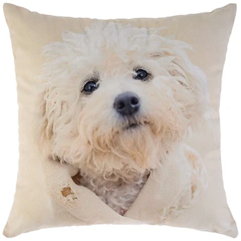 

Pillowcase 35 * 35 cm, 100% P / E, Fabric, Print