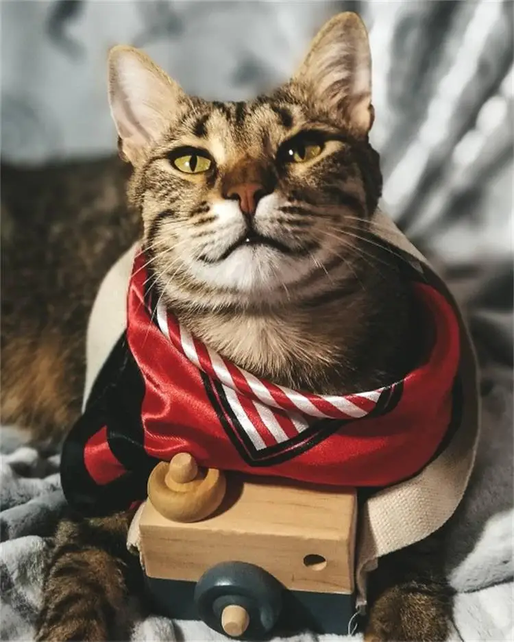 HTB1wyFDV9zqK1RjSZFpq6ykSXXab