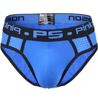 PINKY SENSON Brand Men Underwear/Briefs Elasticity Sexy Hollow Mesh Men Bikini Sissy Gay Sleepwear Quick Drying Breathable 1