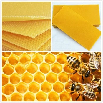 

10 PCS Pack Honeycomb Wax Frames Beekeeping Foundation Honey Hive Equipment Bee