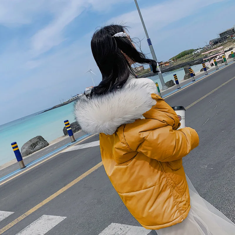 

new winter Big fur collar parka women down cotton jacket and thicker cotton jacket for women Hoodies Loose Parka