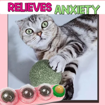 

Rotation Cat Catnip Ball Set Rotating Healthy Cat Snacks Teeth Cleaning Toys MU8669