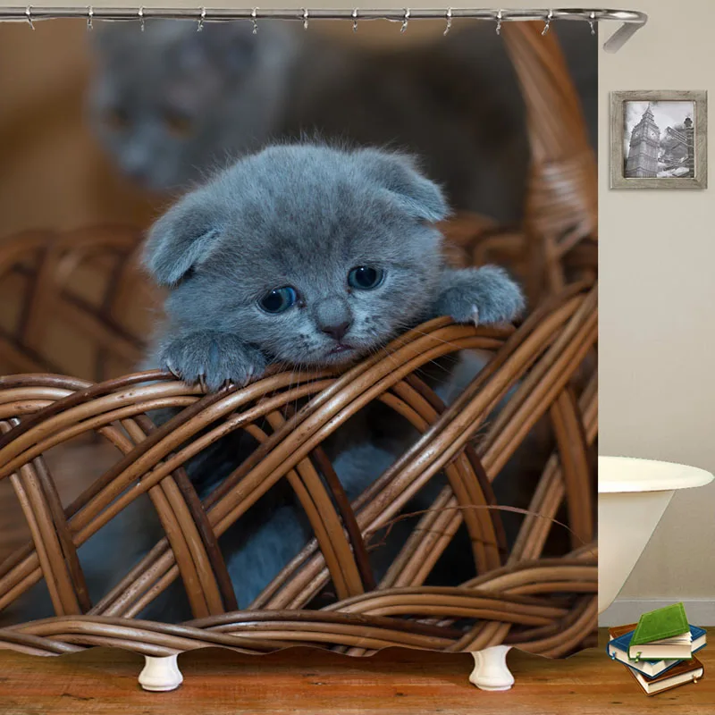 котик в траве. нежные котята. котята играются. котята рисунки для заставки. песня милый котенок.