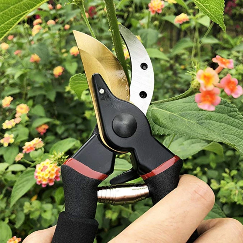 

Pruning Scissors Grafting tool Gardener Scissor garden scissors Secateurs Fruit Tree Branch Cutting Shears Picking Tool