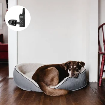 

Dog Training Collar Dog Shock Vibration Buzzer Training Collar US Plug