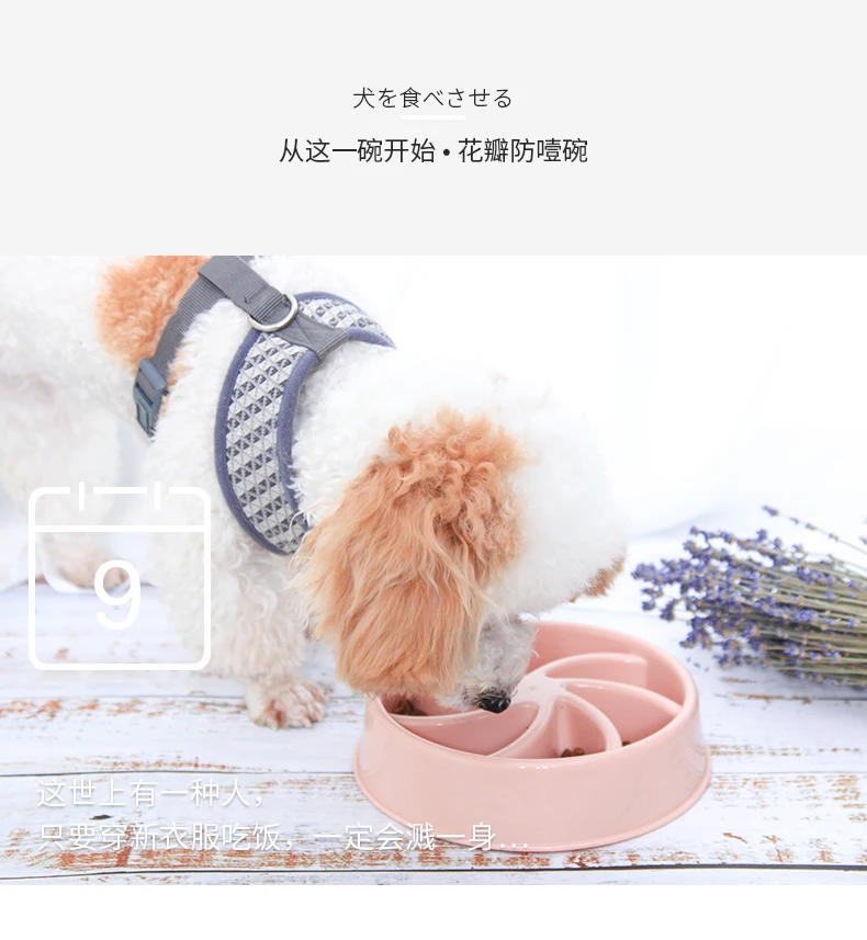 Portable Dog Food Bowl Slow Feeder Automatic Interactive Cute Food Container Comederos Para Perros Pet Dog Supplies 40gw9 Dog Feeding Aliexpress