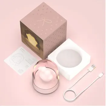 

Rechargeable Pat Light Sleep Pat Light Plastic Silicone night light Creative cute dormitory desk lamp 1 Set