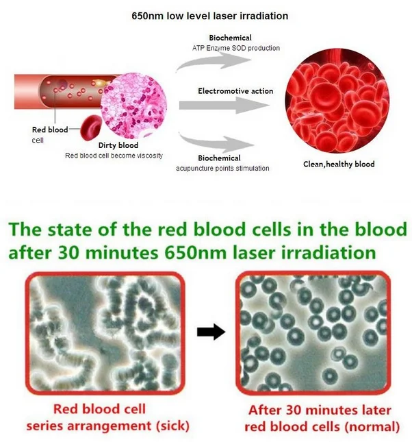 FX_FUP4E5HMRUBO4CD1Y1XK