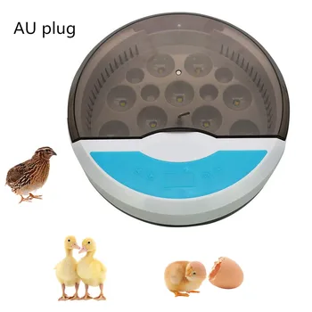 

Mini Fully Automatic Incubator Farm Brooder Hatchery Machine Child 9 Egg LED Temperature Humidity Controller Chicken Bird Quail