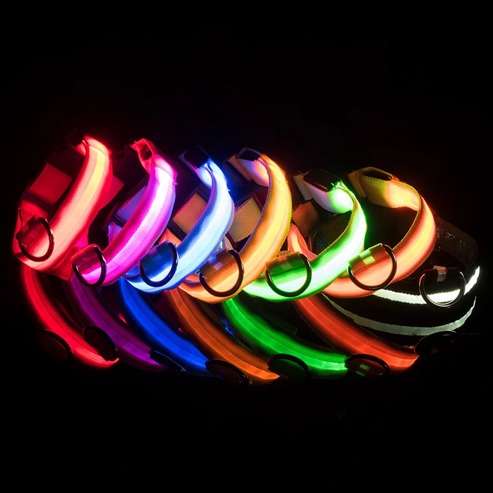 Dog Collar Leash Supplies Cat Collar USB Charging Chien Anti-Lost/Avoid Car Accident Luminoso Safety Button Battery LED Stuff