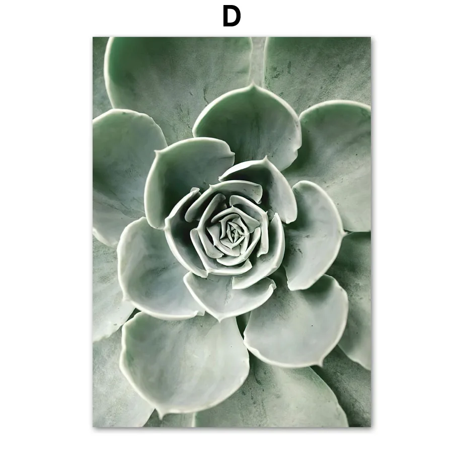 Lion-Tiger-Elephant-Nordic-Vintage-Poster-Green-plants-cactus-Wall-Art-Print-Canvas-Painting-Wall-Pictures (6)