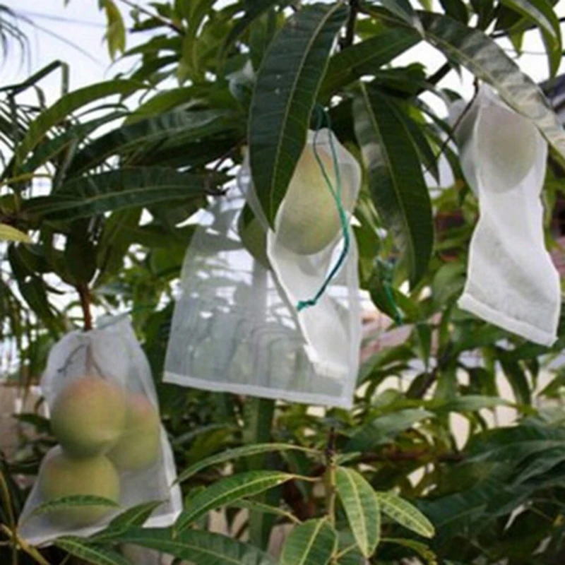 25x25 см/55x35 см/30x25 см садовое растение фрукты нейлоновый в сетку с кулиской сетки сумки набор