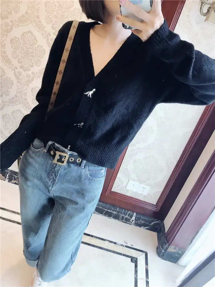 cardigan dinosaur buttons