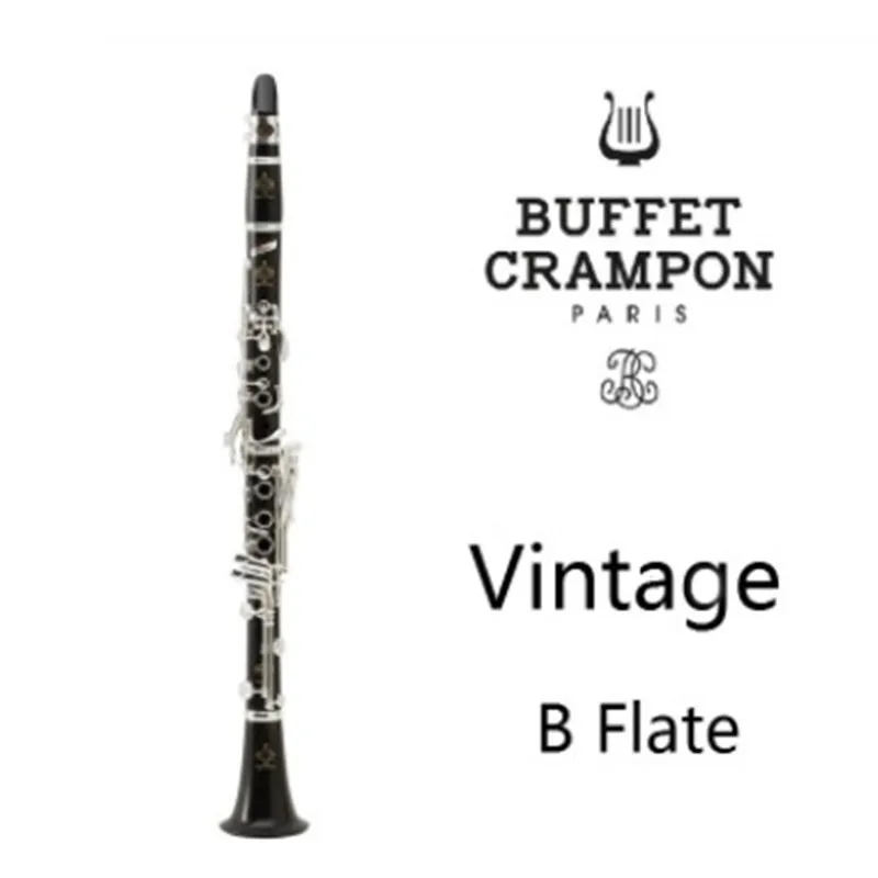 Professionnelle En Bois, Ébène, Modèle D'étudiant En