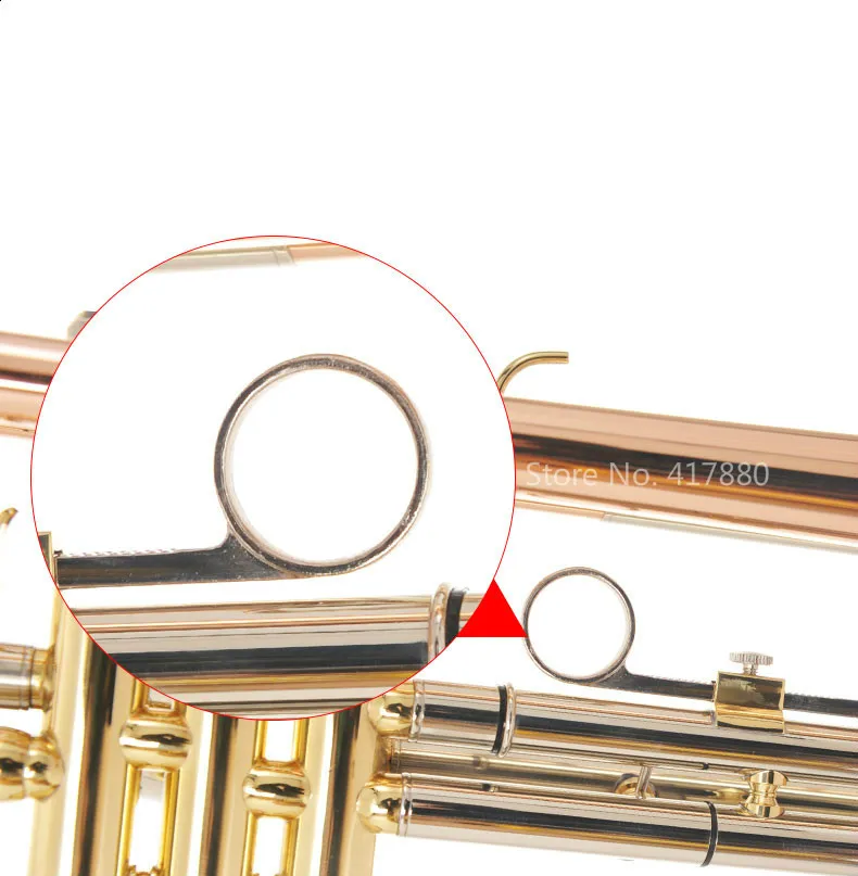SADSN STR-500L Bb Tune труба фосфор медь Росс Золото B плоская труба инструмент с мундштуком чехол